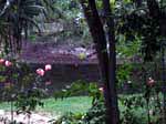 DSCN0401