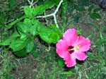 DSCN0403