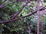 DSCN0404