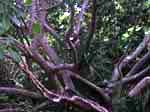 DSCN0405