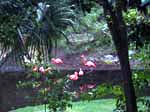 DSCN0406